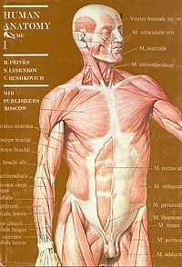 M. Prives, N. Lysenkov, V. Bushkovich - «Human anatomy. Volume 1»