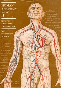 M. Prives, N. Lysenkov, V. Bushkovich - «Human anatomy. Volume 2»