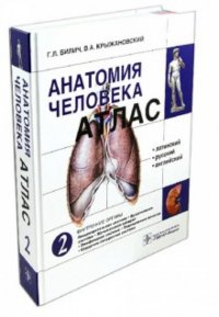 Г. Л. Билич, В. А. Крыжановский - «Анатомия человека. Атлас. В 3 томах. Том 2. Внутренние органы»