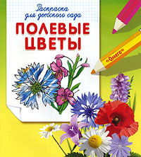 Полевые цветы. Раскраска для детского сада