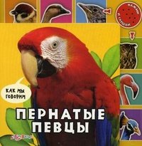 Валерия Зубкова - «Пернатые певцы. Книжка-игрушка»