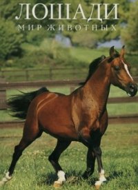 Лошади: мир животных