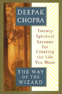 The Way of the Wizard: Twenty Spiritual Lessons for Creating the Life You Want
