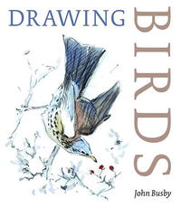 John Busby - «Drawing Birds»