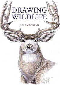 J. Amberlyn - «Drawing Wildlife»