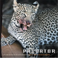 Mark Ross, David Reesor - «Predator: Life and Death in the African Bush»