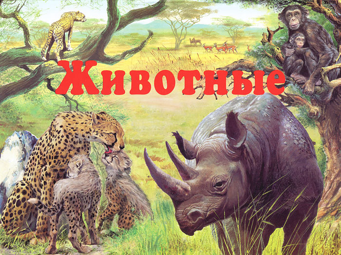 Н. Л. Сендерова - «Животные. Книга-панорама»