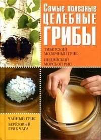 А. С. Гаврилова, Г. А. Серикова, А. В. Колпакова, Е. Н. Шкитина - «Самые полезные целебные грибы. Тибетский молочный гриб. Индийский морской гриб. Чайный гриб. Березовый гриб чага»