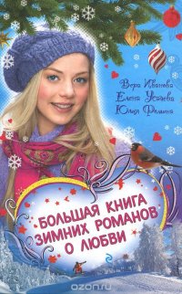 Большая книга зимних романов о любви