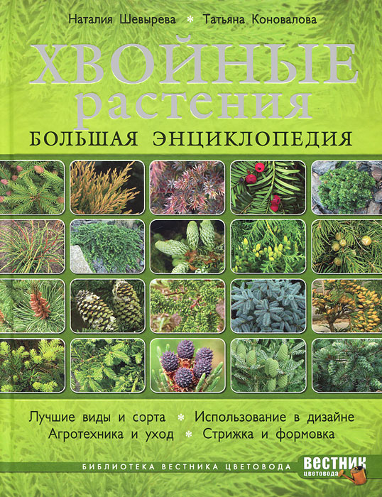 Хвойные растения. Большая энциклопедия