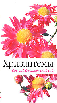 И. Н. Кабанцева - «Хризантемы»