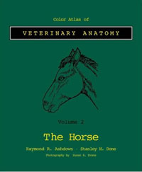 Color Atlas Veterinary Anatomy: Volume 2, The Horse