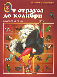 В. Г. Бабенко - «От страуса до колибри. Экзотические птицы»