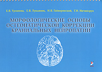 И. В. Гайворонский, Г. И. Ничипорук, Е. В. Урлапова, Е. В. Лукьянюк - «Морфологические основы остеопатической коррекции краниальных нейропатий»