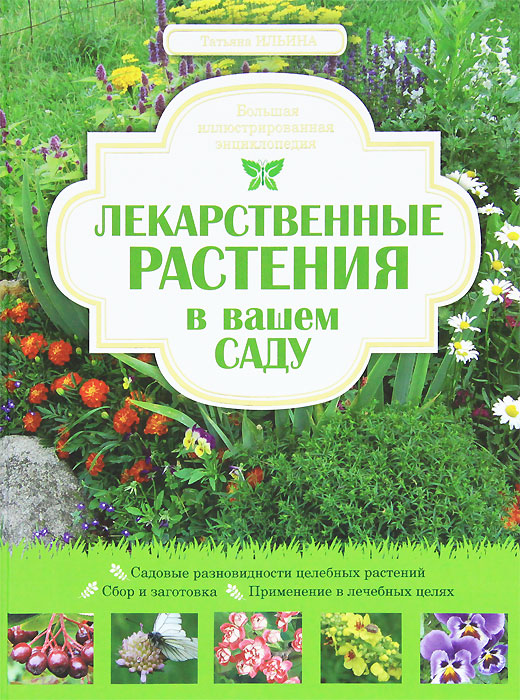 Лекарственные растения в вашем саду