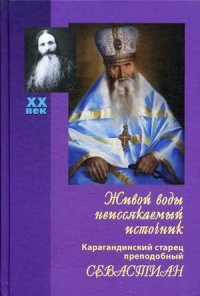 Дмитрий Авдеев - «100 вопросов православному психотерапевту»