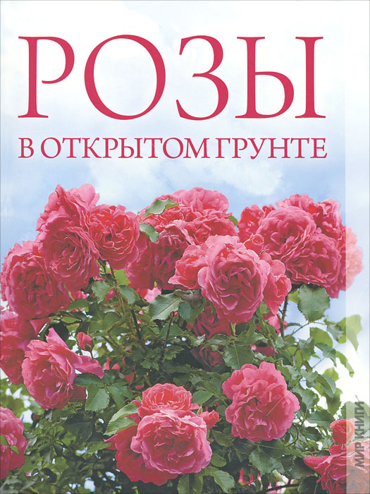 О. В. Яковлева - «Розы в открытом грунте»