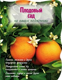 Н. Власова - «Плодовый сад на вашем подоконнике»