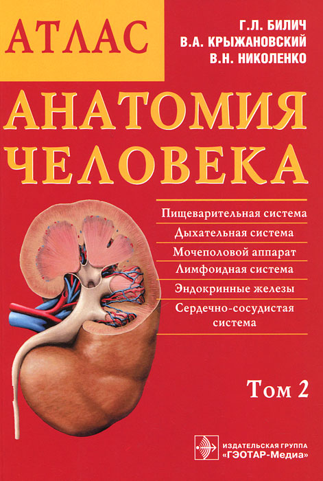Анатомия человека. Атлас. В 3 томах. Том 2