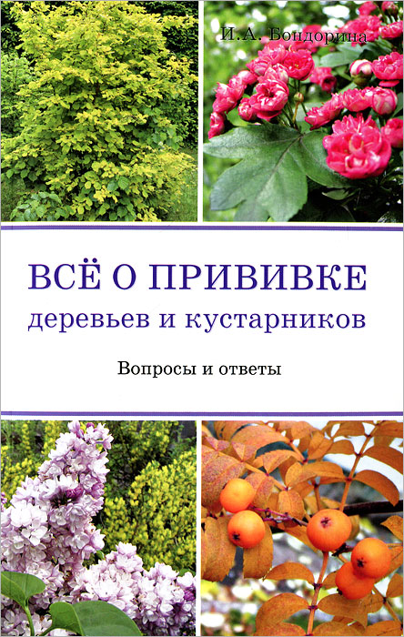 И. А. Бондорина - «Все о прививке деревьев и кустарников»
