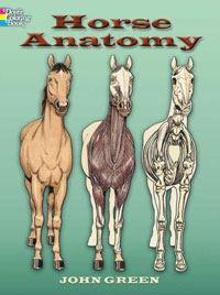 John Green - «Horse Anatomy»