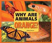 Melissa Stewart - «Why Are Animals Orange? (Rainbow of Animals)»