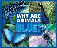 Melissa Stewart - «Why Are Animals Blue? (Rainbow of Animals)»