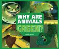 Melissa Stewart - «Why Are Animals Green? (Rainbow of Animals)»