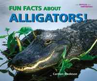 Fun Facts About Alligators! (I Like Reptiles and Amphibians!)