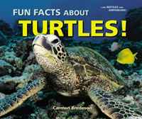 Carmen Bredeson - «Fun Facts About Turtles! (I Like Reptiles and Amphibians!)»