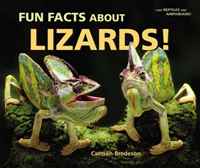 Fun Facts About Lizards! (I Like Reptiles and Amphibians!)