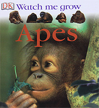 Lisa Magloff - «Watch Me Grow: Apes»