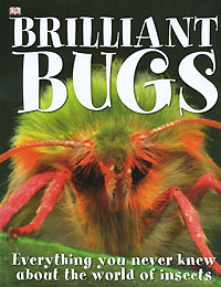 Brilliant Bugs