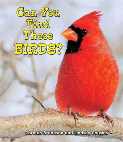 Can You Find These Birds? (All About Nature: Guided Reading, Level E)