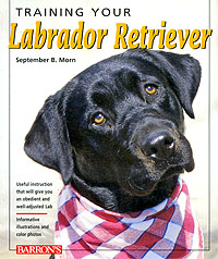 September B. Morn - «Training Your Labrador Retriever»