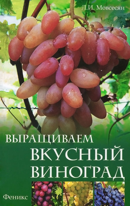 Выращиваем вкусный виноград