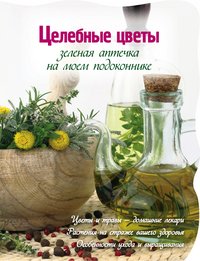 М. Васильев - «Целебные цветы. Зеленая аптечка на моем подоконнике»