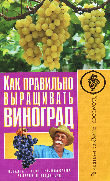 И. Демин, А. Крючков - «Как правильно выращивать виноград»