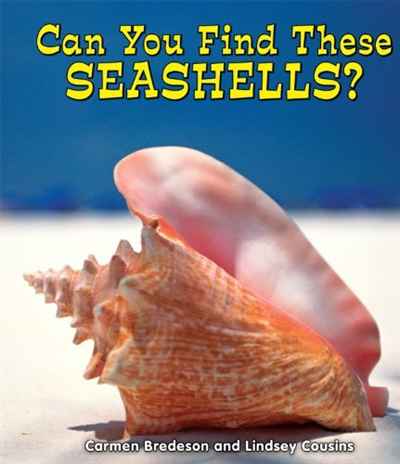 Can You Find These Seashells? (All about Nature)