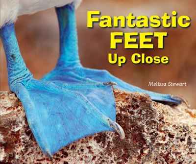 Melissa Stewart - «Fantastic Feet Up Close (Animal Bodies Up Close)»