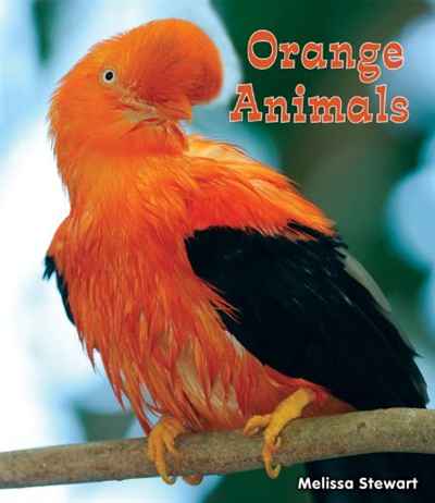 Melissa Stewart - «Orange Animals (All about a Rainbow of Animals)»