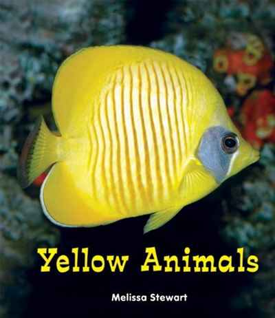 Melissa Stewart - «Yellow Animals (All about a Rainbow of Animals)»