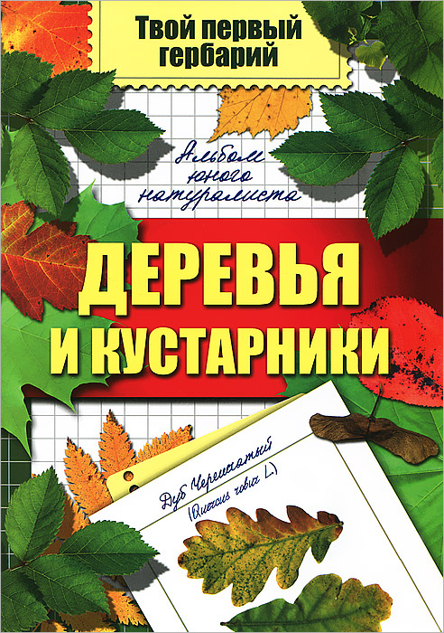 С. Б. Шустов - «Деревья и кустарники. Альбом юного натуралиста»
