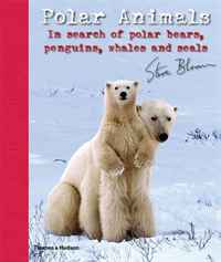 Steve Bloom - «Polar Animals: In Search of Polar Bears, Penguins, Whales and Seals»