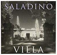 John Saladino - «Villa (+ DVD-ROM)»
