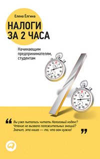 Елена Елгина - «Налоги за 2 часа»