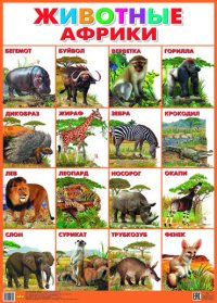 Животные Африки. Плакат