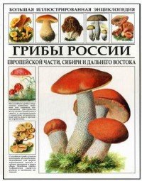 Большая иллюстрированная энциклопедия. Грибы России