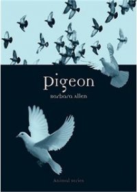 Barbara Allen - «Pigeon»