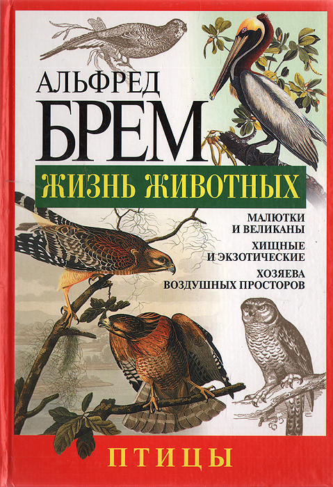 Альфред Брем - «Жизнь животных. Птицы. Л - Я»